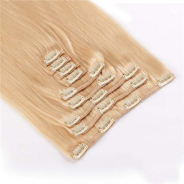 Double weft clip in human hair extensions thick XS063
